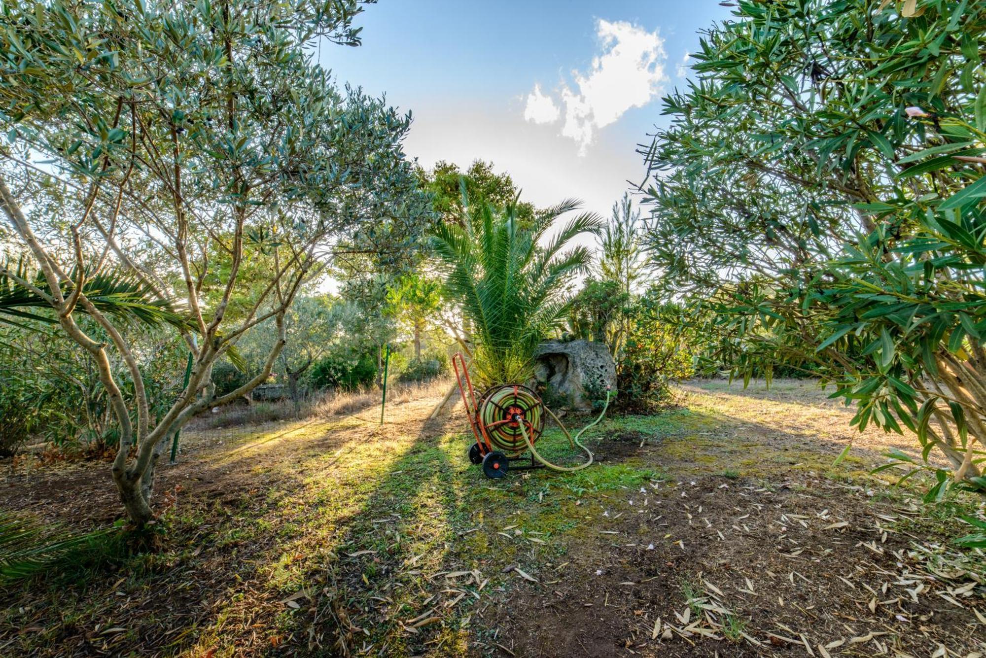 MaraVilla Casa Vacanze Olbia Exterior foto